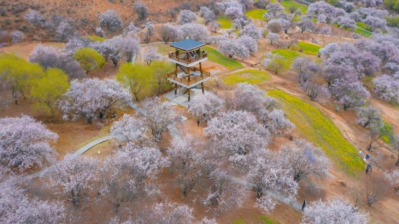 林芝嘎拉村。 張靜攝