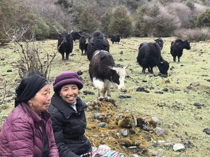 大美邊疆行丨西藏：固邊興邊富民 打造高原邊疆美麗新畫(huà)卷