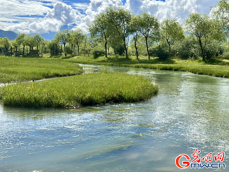 我們的家園丨【組圖】 綠水青山入畫，“金山銀山”筑起