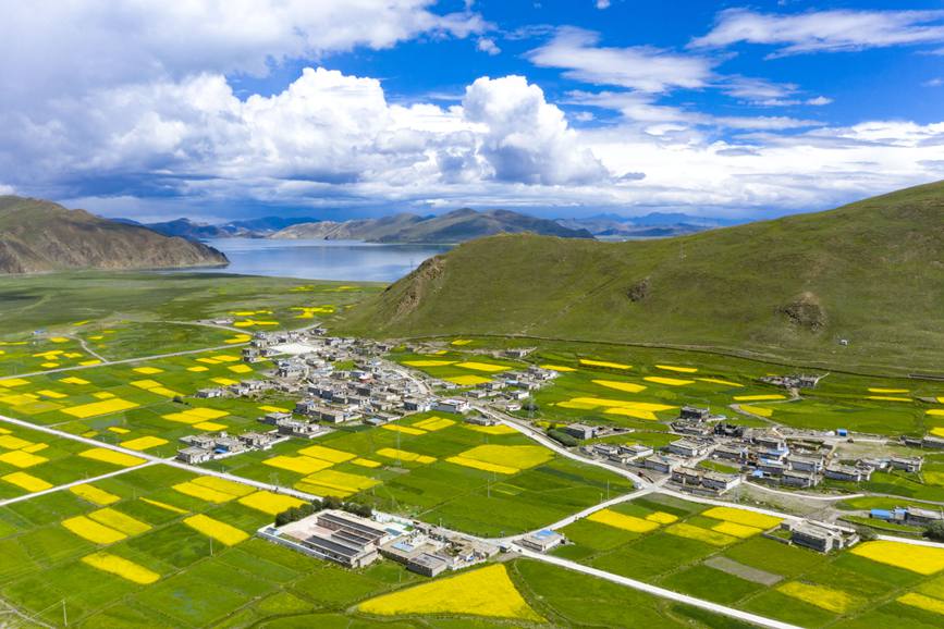 航拍道布龍村，依山傍水，阡陌縱橫。