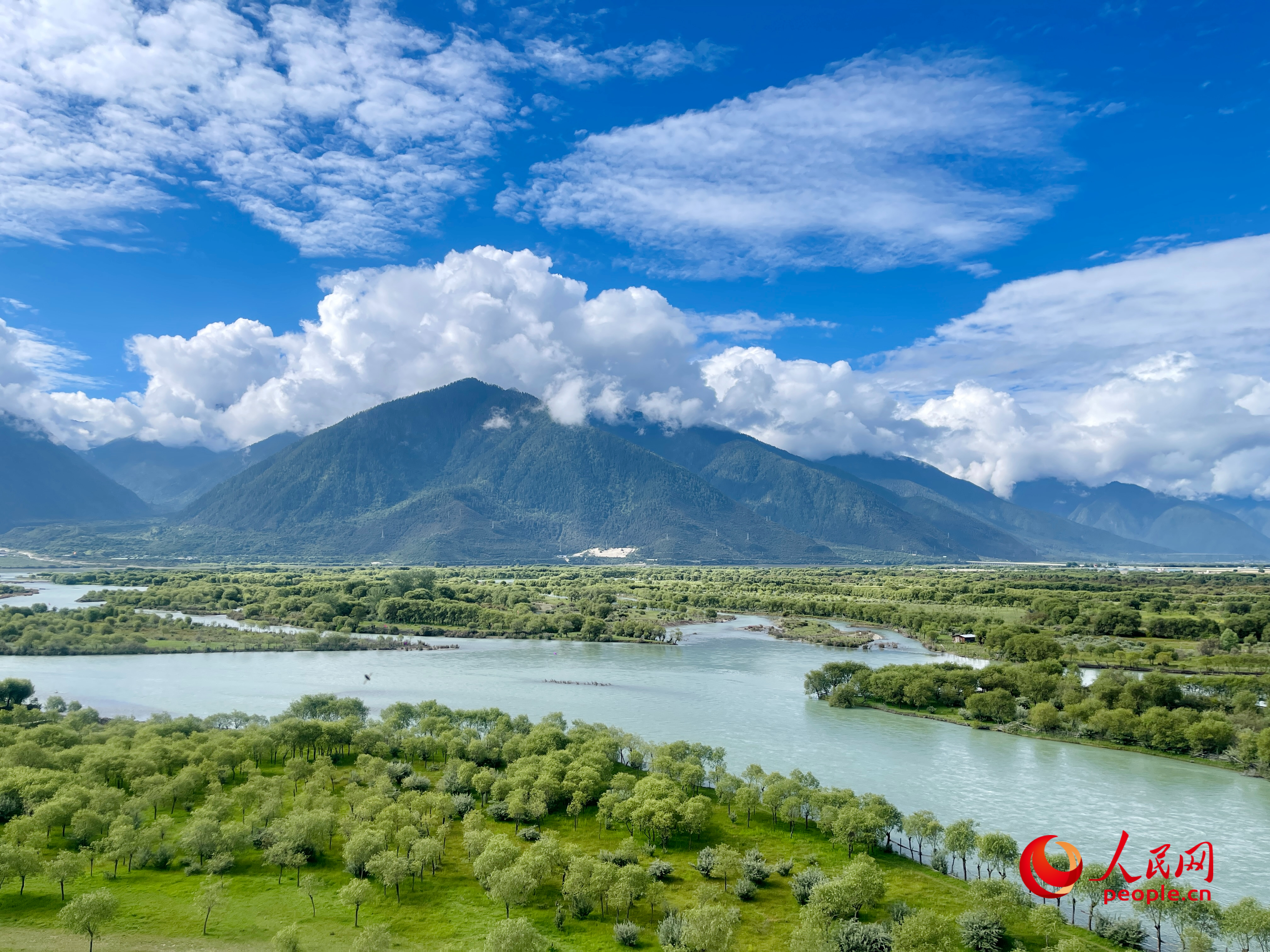 夏日的雅尼國家濕地公園生機盎然，如詩如畫。人民網(wǎng) 周靜圓攝