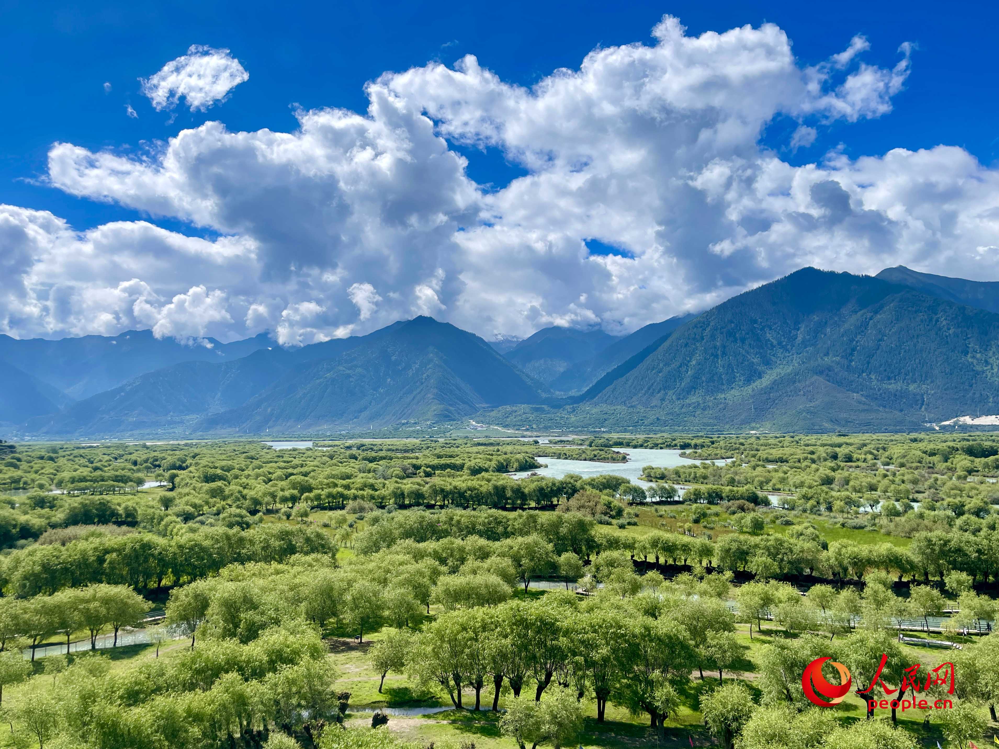 夏日的雅尼國家濕地公園生機(jī)盎然，如詩如畫。人民網(wǎng) 周靜圓攝