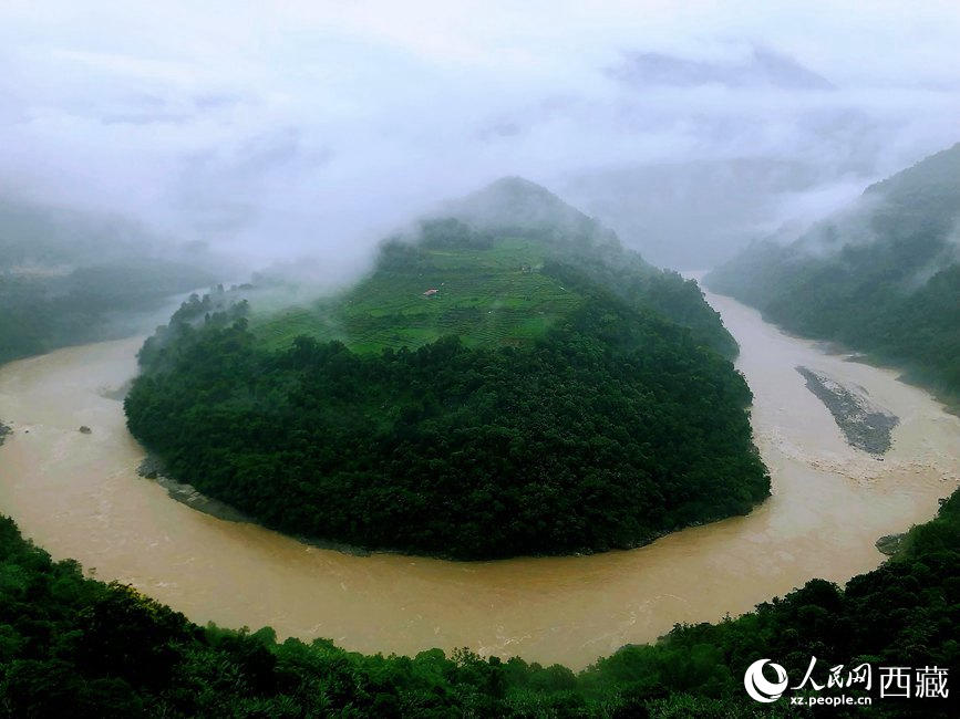 雅魯藏布江大峽谷蛇形拐彎處，山坡上種滿茶樹。