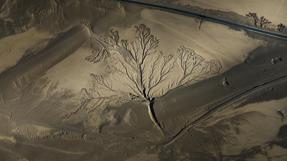 無人機視角下的西藏阿里地區(qū)改則縣“大地之樹”景觀。尼瑪多吉攝