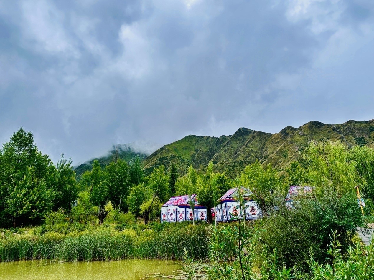 郁郁蔥蔥的南山公園。人民網(wǎng)記者 益西康珠攝