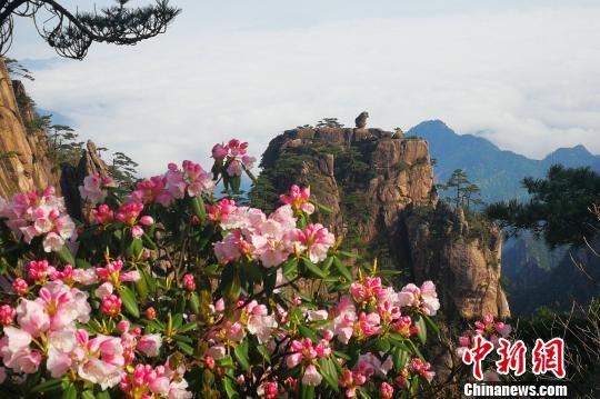 黃山風景區(qū)“五一”小長假客流、車流平穩(wěn)